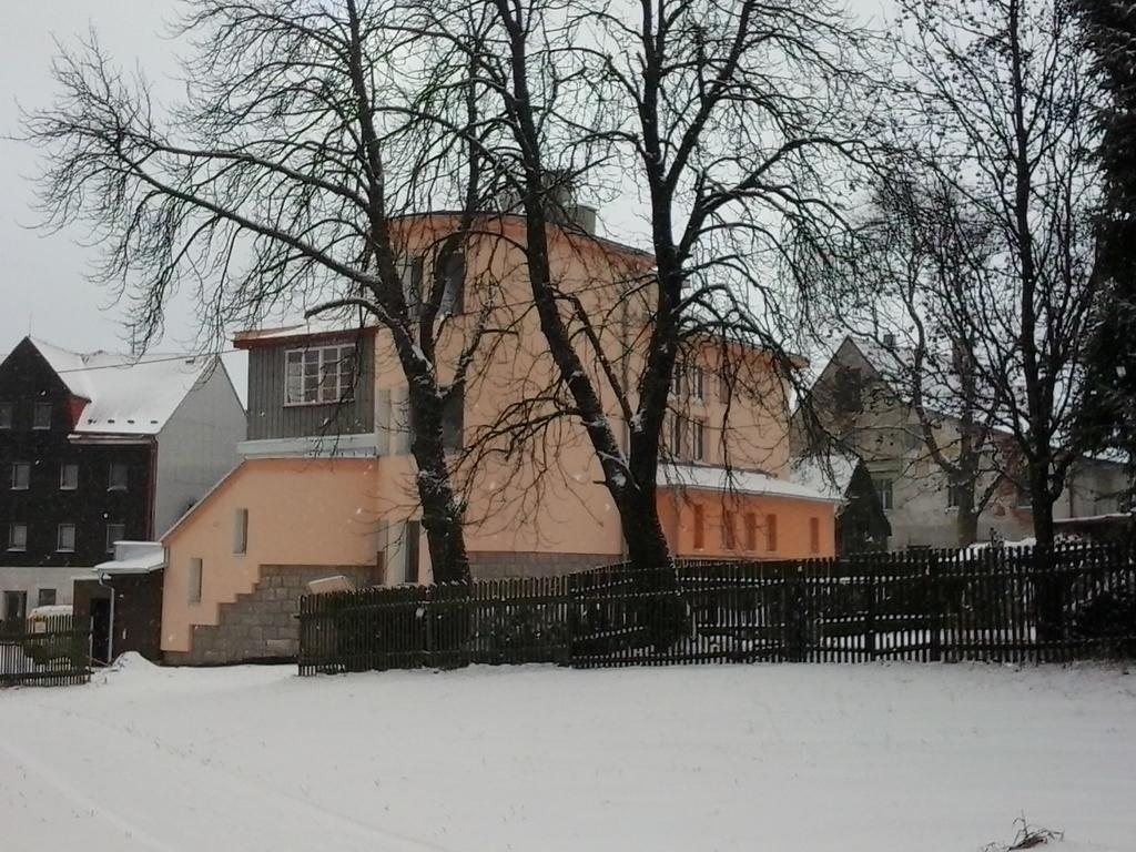 Penzion Vila Victoria Abertamy Dış mekan fotoğraf